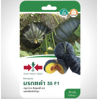 ราคา ฟักทอง มรกตดำ 35 SD F1 016 ผักซอง ศรแดง F1 เมล็ดพันธุ์ เมล็ดพันธุ์ลูกผสม เมล็ดพันธุ์ผัก ผักสวนครัว ผักศรแดง (20108995600)