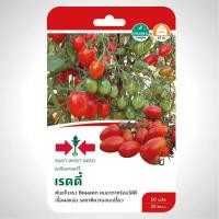 ราคา มะเขือเทศเชอร์รี่ เรดดี้ SD F1 086 ผักซอง ศรแดง F1 เมล็ดพันธุ์ มะเขือเทศ เมล็ดพันธุ์ลูกผสม เมล็ดพันธุ์ผัก ผักสวนครัว ผักศรแดง (20115176574)