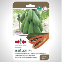 ราคา มะละกอแขกดำ ลูกผสม เรดโนวา SD F1 078 ผักซอง ศรแดง F1 เมล็ดพันธุ์ เมล็ดพันธุ์ลูกผสม เมล็ดพันธุ์ผัก ผักสวนครัว ผักศรแดง ตราศรแดง (20115483578)