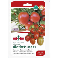 ราคา มะเขือเทศ เอ็กซ์ตร้า 390 SD F1 062 ผักซอง ศรแดง F1 East West Seed เมล็ดพันธุ์ผัก เมล็ดพันธุ์ ผักสวนครัว (20114993874)