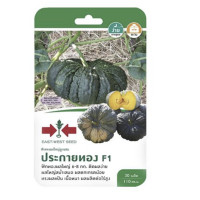 ราคา ฟักทอง ประกายทอง SD F1 106 ผักซอง ศรแดง เมล็ดพันธุ์ ข้าวโพด เมล็ดพันธุ์ผัก ผักสวนครัว ผักศรแดง (20108455300)