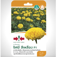 ราคา ดาวเรือง รัศมี สีเหลือง SD FW 003 ผักซอง ศรแดง F1 เมล็ดพันธุ์ เมล็ดพันธุ์ลูกผสม เมล็ดพันธุ์ผัก ผักสวนครัว ผักศรแดง (20115493787)