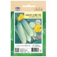 ราคา แตงกวา มาลัย759 CT F1 030 ผักซอง เจียไต๋ ประมาณ 70เมล็ด เมล็ดพันธุ์ผัก เมล็ดผัก เมล็ดพืช ผักสวนครัว (20051343304)