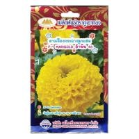 ราคา เมล็ดดอกดาวเรืองกระถาง ลูกผสม อำพัน40 MT FW 36 เมล็ดพันธุ์ดอกดาวเรือง เมล็ดดอกดาวเรือง เมล็ดดอกไม้ เมล็ดพันธุ์ดอกไม้ ตราภูเขาทอง (20140359623)