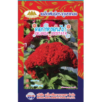 ราคา เมล็ดดอกหงอนไก่ CELOSIA CRISTATA MT FW 02 ปริมาณ250เมล็ด ตราภูเขาทอง เมล็ดพันธุ์ดอกหงอนไก่ เมล็ดพันธุ์ดอกไม้ เมล็ดดอกไม้ (20139579861)