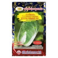 ราคา เมล็ดผักกาดขาวปลี ฮาวาย60 F 1 CHINESE CABBAGE MT F1 30 ตราภูเขาทอง 150เมล็ดโดยประมาณ เมล็ดพันธุ์ผักกาดขาว เมล็ดพันธุ์ผัก เมล็ดผักสวนครัว (20135619202)
