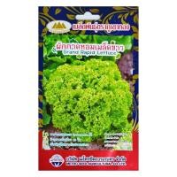 ราคา เมล็ดผักกาดหอมเมล็ดขาว Grand Rapid Lettuce MT LT 17 เมล็ดผักกาดหอม เมล็ดพันธุ์ผักกาดหอม ตราภูเขาทอง (20136574301)