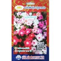 ราคา เมล็ดแพงพวย Vinca MT FW 42 เมล็ดพันธุ์แพงพวย เมล็ดดอกแพงพวย เมล็ดดอกไม้ เมล็ดพันธุ์ดอกไม้ ตราภูเขาทอง (20140599148)