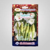 ราคา เมล็ดดอกชมจันทร์ Ipomoea alba MT FW 22 ปริมาณ15เมล็ด ตราภูเขาทอง เมล็ดพันธุ์ชมจันทร์ เมล็ดชมจันทร์ เมล็ดผักสวนครัว เมล็ดพันธุ์ผัก (20140889354)