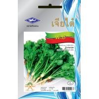 ราคา ผักชี CT OP 001 ผักซอง เจียไต๋ เมล็ดพันธุ์ผัก เมล็ดผัก เมล็ดพืช ผักสวนครัว ประมาณ 1110 เมล็ด (20034646914)