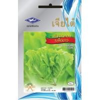 ราคา ผักกาดหอม เมล็ดขาว CT OP 021 ผักซอง เจียไต๋ ผัดกาด เมล็ดพันธุ์ผัก เมล็ดผัก เมล็ดพืช ผักสวนครัว ประมาณ 900 เมล็ด (20034749494)