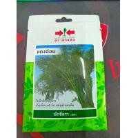 ราคา ผักชีลาว SD OP 088 ผักซอง ศรแดง ซองประหยัด แกงอ่อม เมล็ดพันธุ์ ผักชี ผักชีลาว เมล็ดพันธุ์ลูกผสม เมล็ดพันธุ์ผัก ผักสวนครัว ผักศรแดง (20084515916)