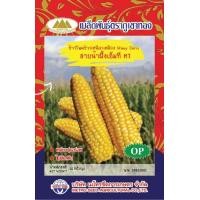 ราคา เมล็ดข้าวโพดข้าวเหนียวเหลือง สายน้ำผึ้งเอ็มที MT GM OP 066 ตราภูเขาทอง เมล็ดข้าวโพดสายน้ำผึ้ง เมล็ดข้าวโพด เมล็ดพันธุ์ข้าวโพด (20126680872)