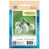 ราคา มะเขือไข่เต่าขาว CT OP 169 ผักซอง เจียไต๋ มะเขือเปราะ เมล็ดพันธุ์ผัก มะเขือ เมล็ดผัก เมล็ดพืช ผักสวนครัว ประมาณ 240 เมล็ด (20034269652)