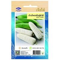 ราคา ข้าวโพดพันธุ์สำลี CT OP 137 ผักซอง เจียไต๋ เมล็ดพันธุ์ผัก เมล็ดผัก เมล็ดพืช ผักสวนครัว ซองประมาณ 90 เมล็ด (20034686697)