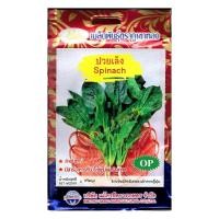 ราคา เมล็ดปวยเล้ง Spinach MT OP 057 ตราภูเขาทอง ผักป๊อปอาย ใช้ทำผักโขมอบชีสได้ เมล็ดพันธุ์ปวยเล้ง ปวยเล้ง เมล็ดผักสวนครัว เมล็ดพันธุ์ผัก (20126104540)