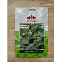 ราคา ผักปลังเขียว หยกมณี SD OP 070 ผักซอง ศรแดง เมล็ดพันธุ์ ผักปลัง เมล็ดพันธุ์ลูกผสม เมล็ดพันธุ์ผัก ผักสวนครัว ผักศรแดง (20084701068)