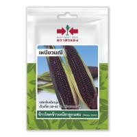 ราคา ข้าวโพดข้าวเหนียว เหนียวมณี SD OP 031 ผักซอง ศรแดง เมล็ดพันธุ์ ข้าวโพด เมล็ดพันธุ์ลูกผสม เมล็ดพันธุ์ผัก ผักสวนครัว ผักศรแดง (20084557008)