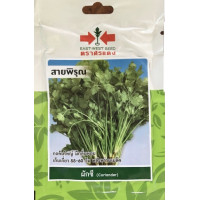 ราคา ผักชี สายพิรุณ SD OP 049 ผักซอง ศรแดง เมล็ดพันธุ์ เมล็ดพันธุ์ลูกผสม เมล็ดพันธุ์ผัก ผักสวนครัว ผักศรแดง (20084441902)