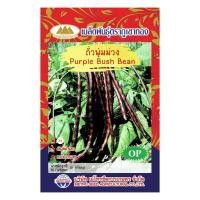 ราคา เมล็ดถั่วพุ่มม่วง Purple Bush Bean MT OP 024 ตราภูเขาทอง เมล็ดพันธุ์ถั่วพุ่มม่วง เมล็ดถั่วพุ่ม ถั่วพุ่มม่วง ถั่วฝักยาวไร้ค้าง (20122059975)