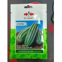 ราคา แตงไทยอ่อน ลายเงิน SD OP 087 ผักซอง ศรแดง เมล็ดพันธุ์ แตงไทย แตงไทยอ่อน เมล็ดพันธุ์ลูกผสม เมล็ดพันธุ์ผัก ผักสวนครัว ผักศรแดง (20084460818)
