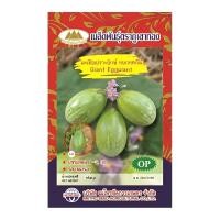 ราคา เมล็ดมะเขือเปราะยักษ์ หยกทศกัณฐ์ Giant Eggplant MT OP 118B ตราภูเขาทอง เมล็ดพันธุ์มะเขือเปราะยักษ์ เมล็ดมะเขือ เมล็ดพันธุ์มะเขือเปราะ (20127471331)
