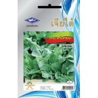 ราคา คะน้าเห็ดหอม CT OP 011 ผักซอง เจียไต๋ คะน้า เมล็ดพันธุ์ผัก เมล็ดผัก เมล็ดพืช ผักสวนครัว ประมาณ 500 เมล็ด (20038771380)