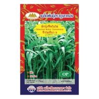 ราคา เมล็ดผักบุ้งจีนใบไผ่ ทิวไผ่เรียว9 MT OP 001 ตราภูเขาทอง Kangkong เมล็ดผักบุ้ง เมล็ดผักบุ้งจีน เมล็ดพันธุ์ผัก เมล็ดผักสวนครัว (20120475162)