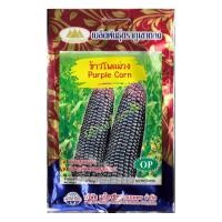 ราคา เมล็ดข้าวโพดม่วง Purple Corn MT OP 068 ตราภูเขาทอง เมล็ดพันธุ์ข้าวโพดม่วง เมล็ดข้าวโพดสีม่วง เมล็ดข้าวโพด เมล็ดข้าวโพด เมล็ดพันธุ์ข้าวโพด (20126892247)