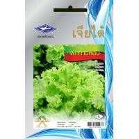 ราคา ผักกาดหอม ผักสลัด CT OP 018 ผักซอง เจียไต๋ ผักกาด เมล็ดพันธุ์ผัก เมล็ดผัก เมล็ดพืช ผักสวนครัว ประมาณ 960 เมล็ด (20036438444)