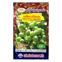 ราคา เมล็ดมะเขือพวงไร้หนาม Plate Brush Eggplant MT OP 106 เมล็ดพันธุ์มะเขือพวง เมล็ดมะเขือพวง เมล็ดมะเขือ เมล็ดพันธุ์มะเขือ ตราภูเขาทอง (20127491648)