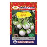 ราคา เมล็ดมะเขือเปราะดาวขาว Eggplant MT OP 111 เมล็ดมะเขือเปราะ เมล็ดพันธุ์มะเขือเปราะ เมล็ดผักสวนครัว ตราภูเขาทอง (20127416332)