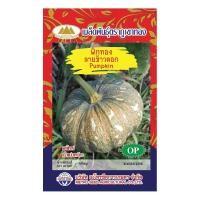ราคา เมล็ดฟักทองลายข้าวตอก Pumpkin MT OP 099 ตราภูเขาทอง เมล็ดพันธุ์ฟักทอง เมล็ดฟักทอง เมล็ดพันธุ์ผักสวนครัว (20127401244)