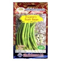 ราคา เมล็ดถั่วแขกขาว Bush Bean MT OP 026 เมล็ดถั่วแขก เมล็ดพันธุ์ถั่วแขก เมล็ดผักสวนครัว เมล็ดพันธุ์ผัก ตราภูเขาทอง (20122632017)