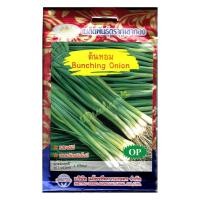 ราคา เมล็ดต้นหอม Bunching Onion MT OP 128 ตราภูเขาทอง เมล็ดพันธุ์ผัก เมล็ดผักสวนครัว เมล็ดหอมแบ่ง ต้นหอม หอมแบ่ง เมล็ดพันธุ์ต้นหอม (20127709541)