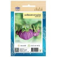 ราคา มะเขือเปราะจานม่วง CT OP 174 ผักซอง เจียไต๋ เมล็ดพันธุ์ผัก มะเขือ มะเขือม่วง เมล็ดผัก เมล็ดพืช ผักสวนครัว ซองประมาณ 200 เมล็ด (20034557364)
