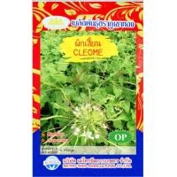 ราคา เมล็ดผักเสี้ยน CLEOME MT OP 080 เมล็ดพันธุ์ผักเสี้ยน ผักเสี้ยน เมล็ดผักสวนครัว เมล็ดพันธุ์ผัก ตราภูเขาทอง (20126995053)
