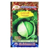 ราคา เมล็ดกะหล่ำปลี Cabbage MT OP 060 ตราภูเขาทอง ขนาด2กรัม เมล็ดพันธุ์กะหล่ำปลี เมล็ดพันธุ์ผัก เมล็ดผักสวนครัว (20126201906)