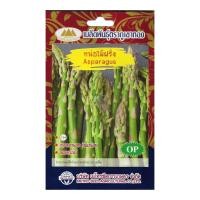 ราคา เมล็ดหน่อไม้ฝรั่ง Asparagus MT OP 134 ปริมาณ20เมล็ด หน่อไม้ฝรั่ง เมล็ดพันธุ์ผัก เมล็ดพันธุ์หน่อไม้ฝรั่ง เมล็ดพันธุ์ผักสวนครัว ตราภูเขาทอง (20127745540)