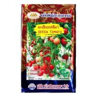 ราคา เมล็ดมะเขือเทศสีดา SEEDA TOMATO MT OP 095 ตราภูเขาทอง เมล็ดพันธุ์มะเขือเทศสีดา มะเขือเทศสีดา เมล็ดมะเขือเทศ เมล็ดพันธุ์มะเขือเทศ (20127091603)