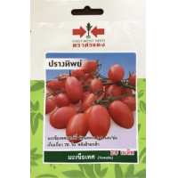 ราคา มะเขือเทศ ปรางทิพย์ SD OP 021 ผักซอง ศรแดง เมล็ดพันธุ์ มะเขือ เมล็ดพันธุ์ลูกผสม เมล็ดพันธุ์ผัก ผักสวนครัว ผักศรแดง (20084606360)