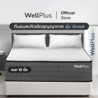 ราคา Wellplus อัดสุญญากาศ ที่นอนสปริงเสริมยางพารา รุ่น Groot หนา 12 นิ้ว คืนตัวเร็ว ไร้เสียงรบกวน ขนาด 3 5 5 6 ฟุต (22149962978)