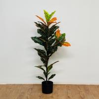 ราคา ต้นโกสน ต้นไม้ปลอม พร้อมกระถาง ต้นไม้มงคล คาเฟ่ จัดงาน บ้านและสวนPlant L BSM (21993002511)