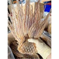 ราคา CODฟรีค่าส่ง หมึกสาย จืด คัดพิเศษ สด ใหม่ สะอาด หั่นใส่ต้มจืด หมึกแห้งผัดไข่เค็ม (22167332426)