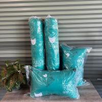 ราคา ชุดหมอน หมอนหนุน หมอนข้าง ลายการ์ตูน น่ารัก นุ่ม แน่น ใบใหญ่มาตรฐานโรงแรม ถูกสุดๆ (21401160469)