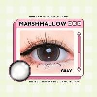 ราคา คอนแทคเลนส์ บิ๊กอาย Marshmallow Brown Gray Shinee ลายฮิต ขายดีมาก กรองแสงกันยูวี (21587380140)