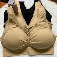 ราคา เสื้อชั้นใน ซาบีน่า ทรงสวม sbxa889 freesize happy bra sabina (21615653247)