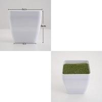 ราคา พร้อมส่ง ต้นไม้ปลอมสำหรับตกแต่งสวนต้นไม้ปลอมแขวนผนังลายนกยูงเต่าใบบีโกเนียบ้านระเบียงเถาดอกไม้สีเขียวกระถางหญ้า (22121839560)