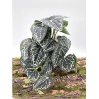 ราคา พร้อมส่ง ต้นไม้ปลอมสำหรับตกแต่งสวนต้นไม้ปลอมแขวนผนังลายนกยูงเต่าใบบีโกเนียบ้านระเบียงเถาดอกไม้สีเขียวกระถางหญ้า (22121839549)