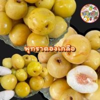 ราคา มะม่วงเบา มะม่วงกะตอย มะขามแช่อิ่มน้ำผึ้งฝักใหญ่ มะปรางดอง องุ่นดองจี๊ดจ๊าด มะม่วงแช่อิ่มน้ำผึ้ง ผลไม้รวม แถมพริกเกลือ 250กรัม คัดเกรดAAA (22008203972)